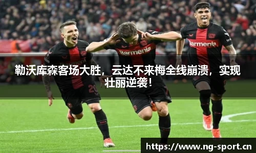 ng28体育官网