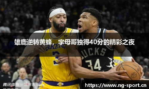 ng28体育官网