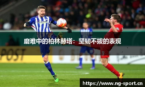 ng28体育官网