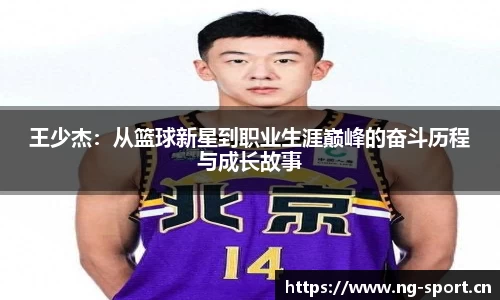 ng28体育平台