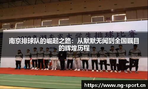 ng28体育官网